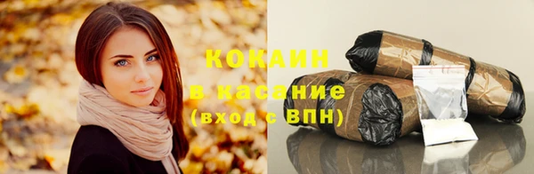 дживик Надым