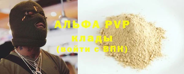 дживик Надым