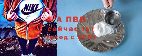 дживик Надым