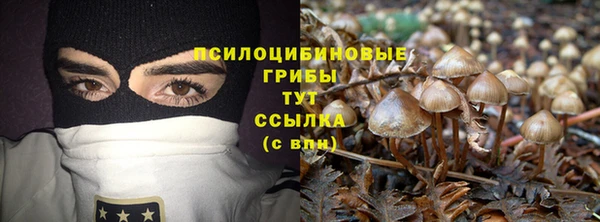 дживик Надым