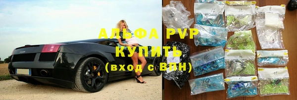 дживик Надым