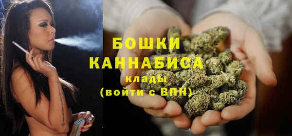 дживик Надым