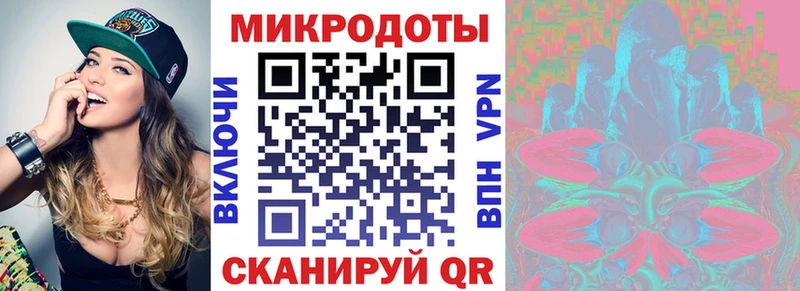 как найти   Нальчик  Псилоцибиновые грибы MAGIC MUSHROOMS 